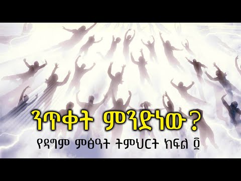 ቪዲዮ: ጃንጥላ መንገደኛ ምንድነው?