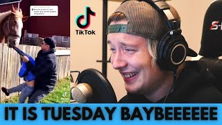 [tik tok tuesday] - WHAT DAY IS IT?