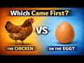 Which Came First The Chicken or The Egg Debate