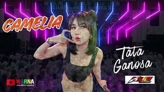 Download Lagu KMB GEDRUG SRAGEN | TATA GANOSA | CAMELIA MP3