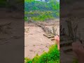 Terrifying flood, huge destruction #voiceofglobe #flooding #breakingnews #flashflood #landslide