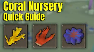 Coral Nursery Quick Guide OSRS