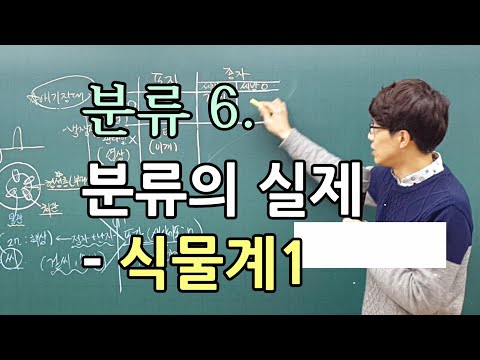 분류 6.  분류의 실제 -  식물계 (1) 분류의 기준과 특징