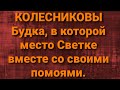 Семья Колесниковых/Новости из Дворца.