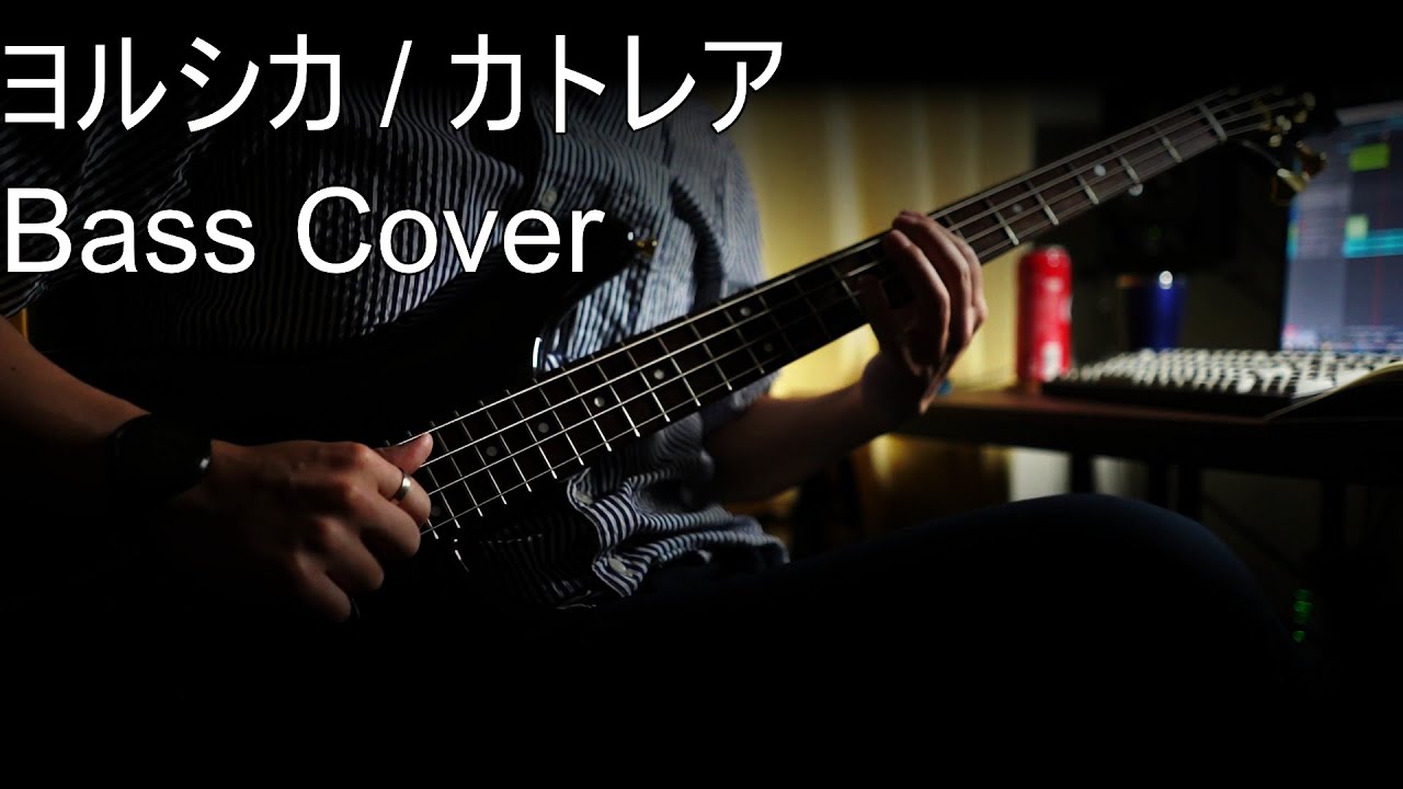 Basscover ヨルシカ カトレア Sugi Nb4 Youtube Basscover ヨルシカ カトレア Sugi Nb4 Youtube