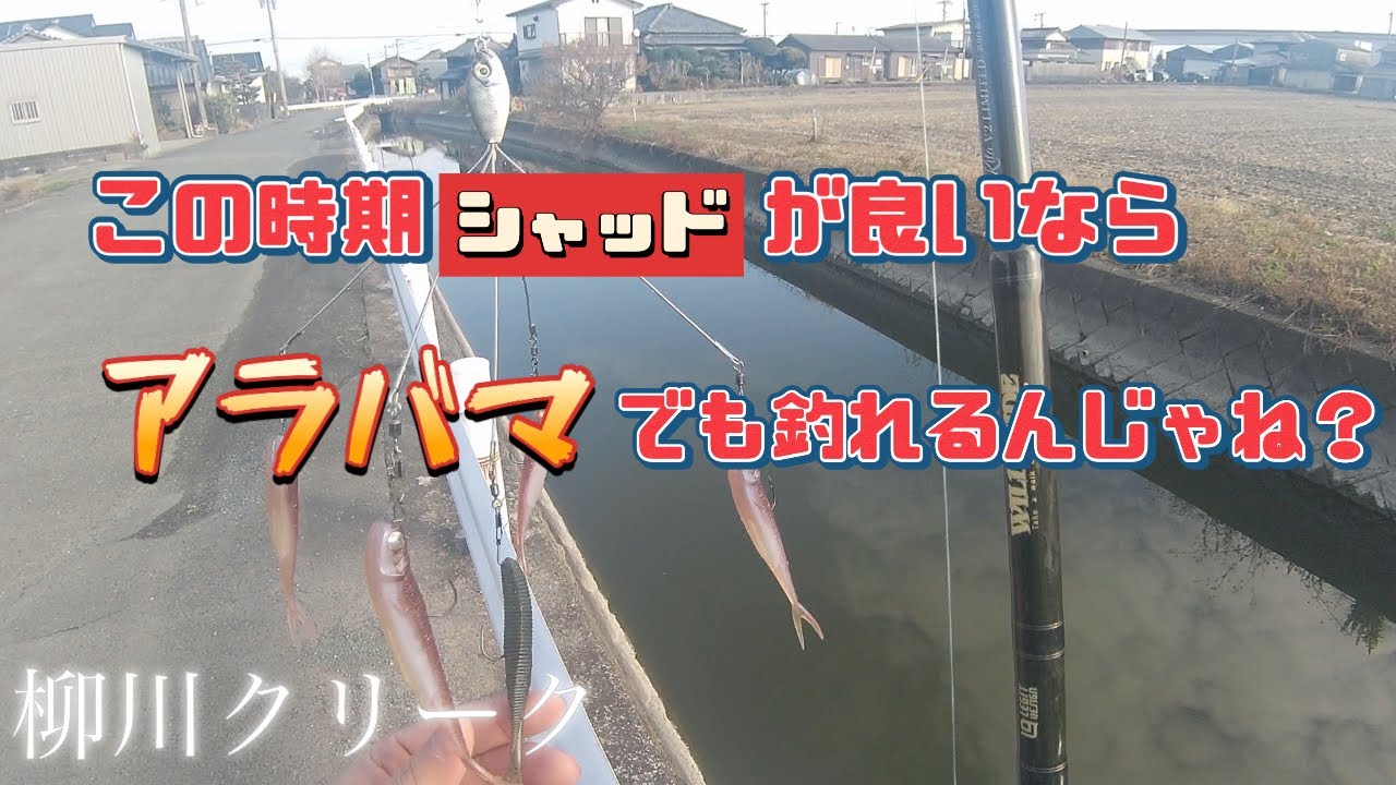 【バス釣り】前回バラした所にリベンジ行く！前編