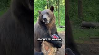This Bear Wouldnt Stop Following Him