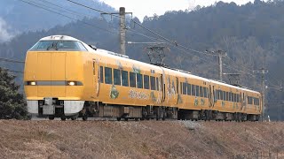 2021/02/12 5010M 特急 きのさき10号 289系(FG401編成)