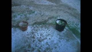 May 8th, 2017: Denver Hailstorm