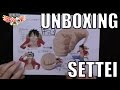 Unboxing settei one piece collection genga dressrosa