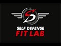 Self defense fit lab gym promo