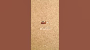 سورة الكهف 🎧🤍| بصوت الشيخ ياسر الدوسري#سورة_الكهف #حالات_واتس
