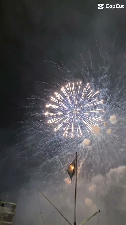 feuerwerk basel abgesagt