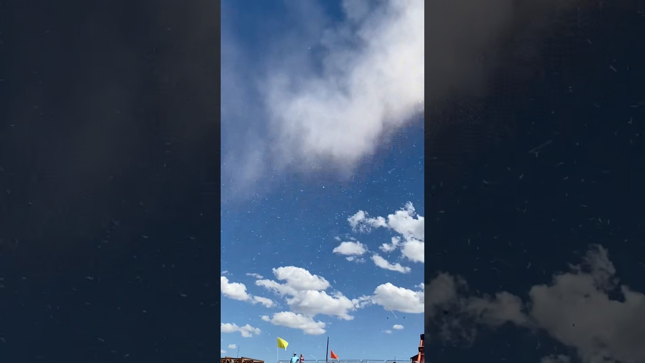 A Successful Candy Cannon Launch 