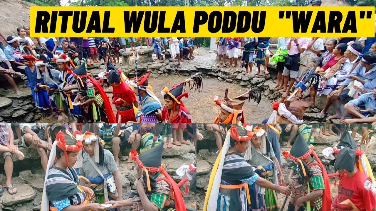 Ritual Wula Poddu 