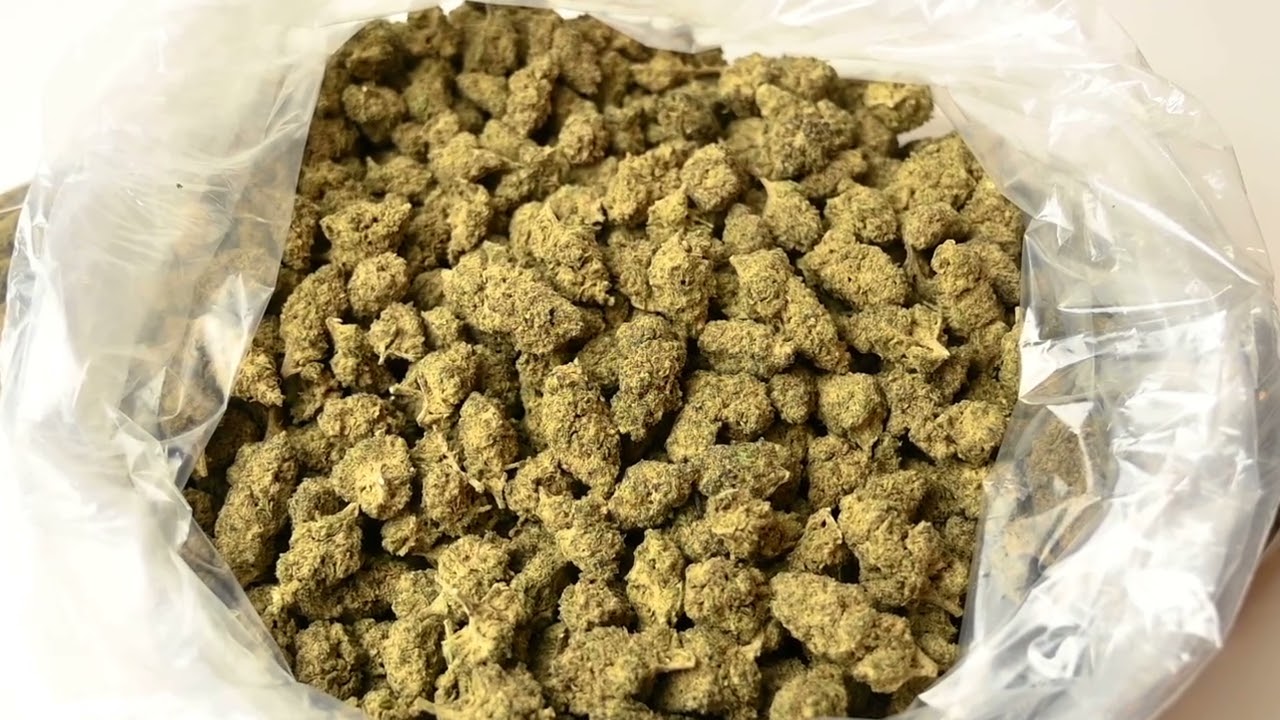 Infused Abacus Diesel Premium Hemp Flower
