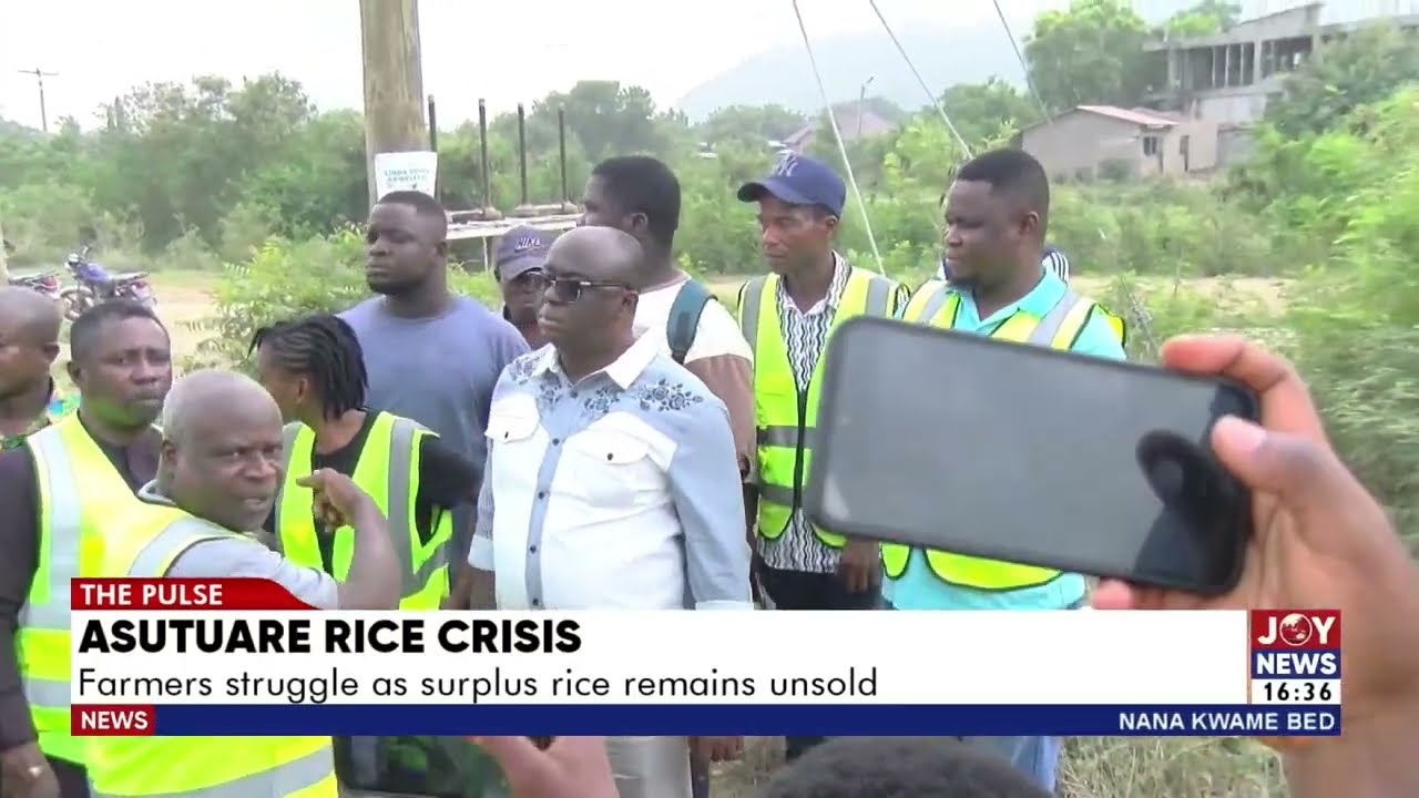 Asutuare Rice Crisis: Farmers struggle as surplus rice remains unsold