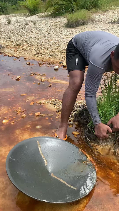 Crazy gold buried in the roots of a palm tree swept away by the current… #fypシ゚viral #gold