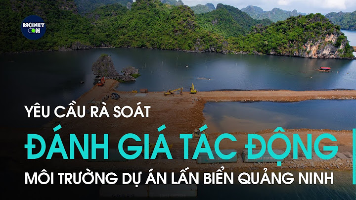 Dự án nào phải đánh giá tác động môi trường