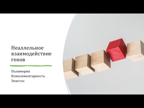 Видео: Взаимодействат ли резидентните и преходните косатки?