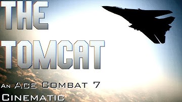 The Tomcat | An Ace Combat 7 Cinematic
