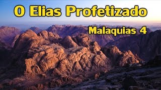 Um Profeta Contra A Confusão Das Igrejas Leg - Ir. William Branham