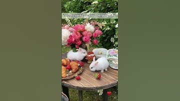 الحمد لله رب العالمين 😢♥️ // تلاوة خاشعة مبكية // حالات واتس اب صباحية دينية // ستوريات انستا 😍♥️