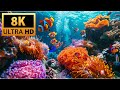 The best 8K aquarium 🐠 | Beautiful coral fish & Calm Relaxation & Deep Sleep Ambience 🌙💤#1