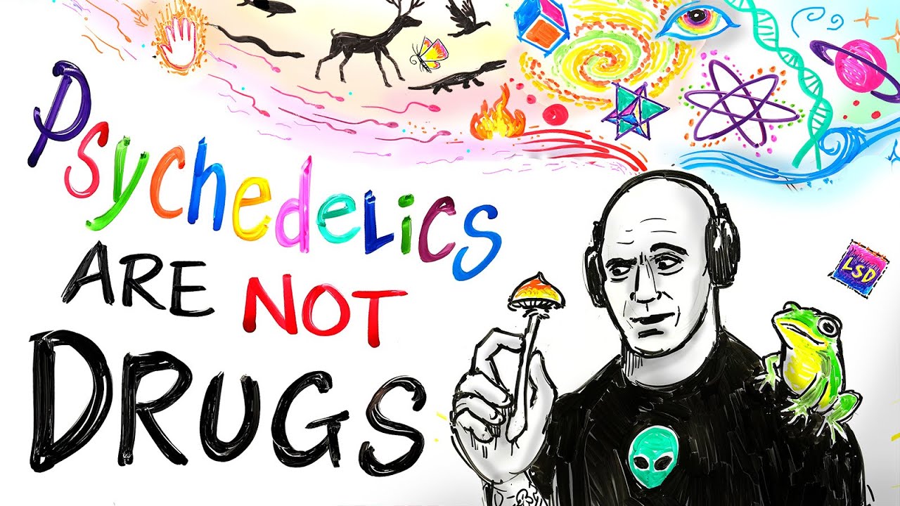 Joe's Epic Rant About Psychedelics - Animated by After Skool