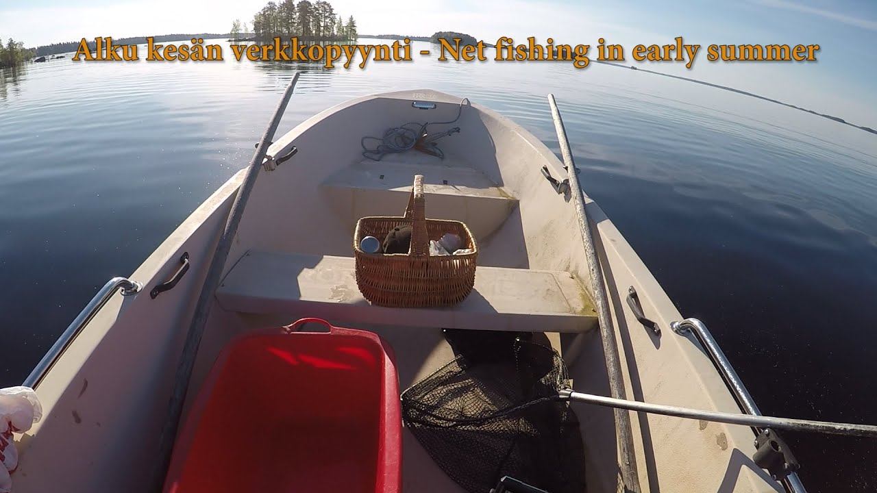 Alkukesän verkkopyynti -Net fishing in early summer