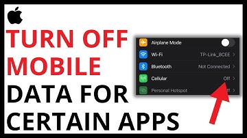 How to Turn Off Mobile Data for Certain Apps on iPhone [QUICK GUIDE]