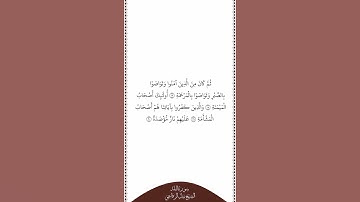 تلاوة في دقيقة سورة البلد الآيات من ١٧ إلى ٢٠ الشيخ نبيل الرفاعي