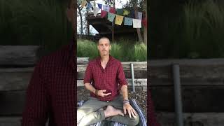 Guided meditation on Forgiveness with Daniel Ahearn YZL
