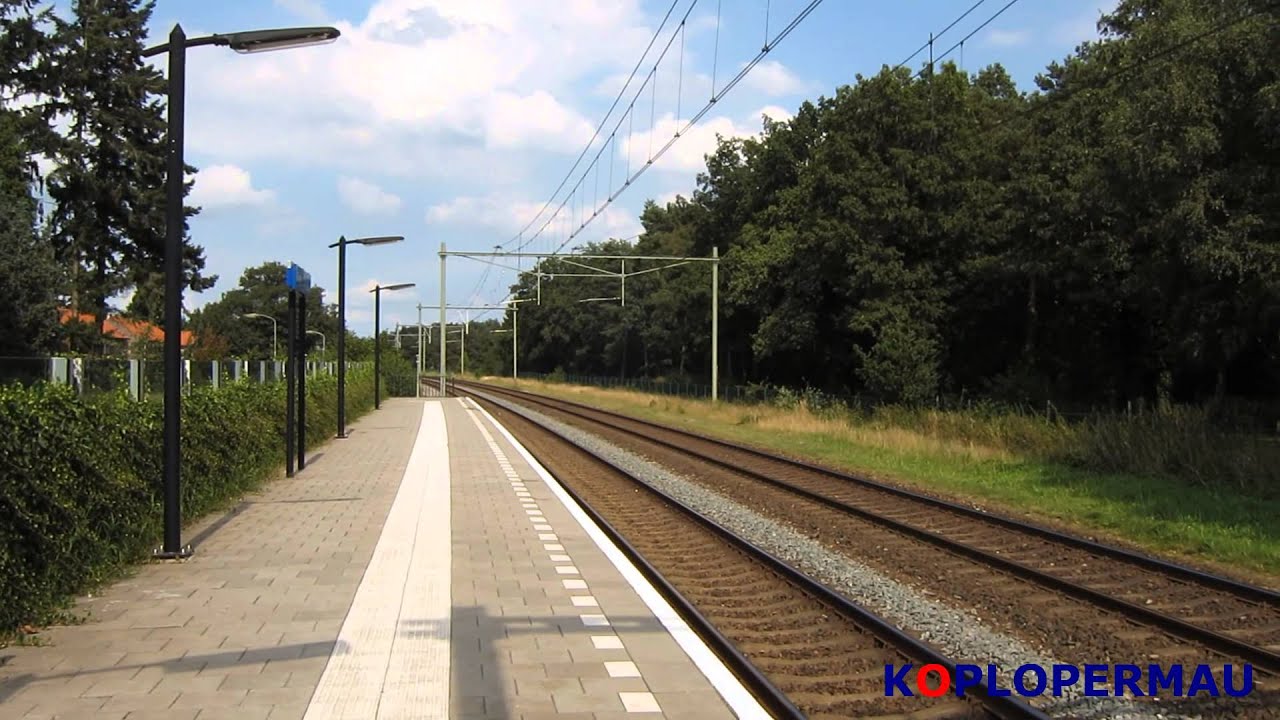 Treinen te Wezep NS, 23-08-2012 / Dutch trains at Wezep, 23-08-2012