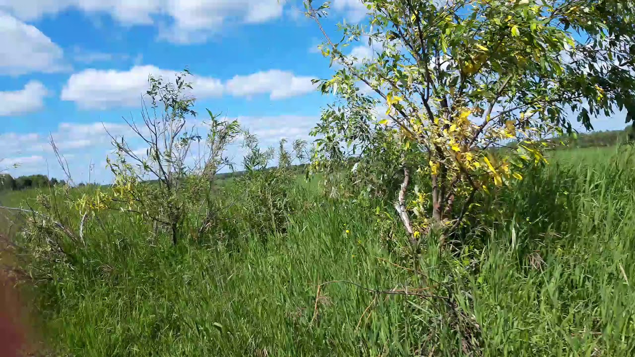 Едем на косогор за клубникой - YouTube