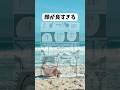 顔が良すぎる　#shorts #呪術廻戦 #禪院直哉 #漫画 #アニメ#存在しない記憶
