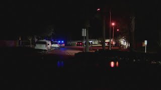 Florida 8-year-old killed after being attacked by pair of dogs