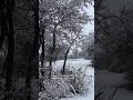 první sníííh