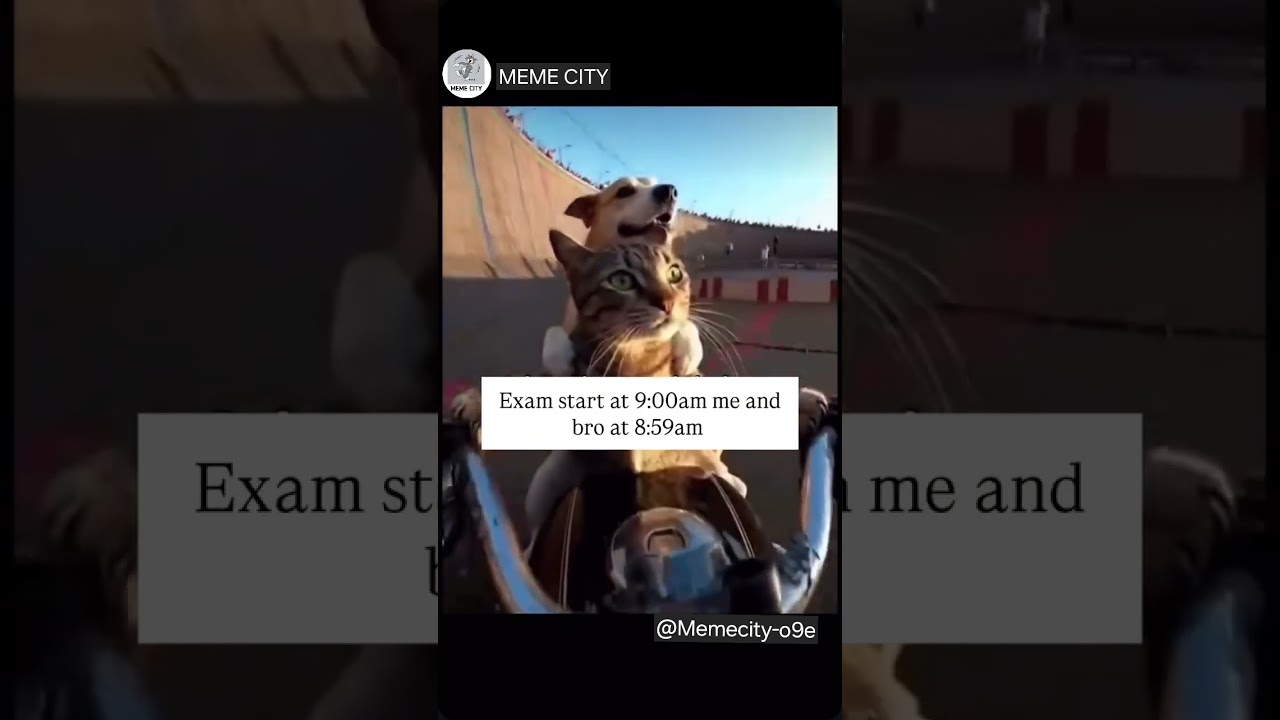 Swag wali entry at the exam centre | #trending |#funny