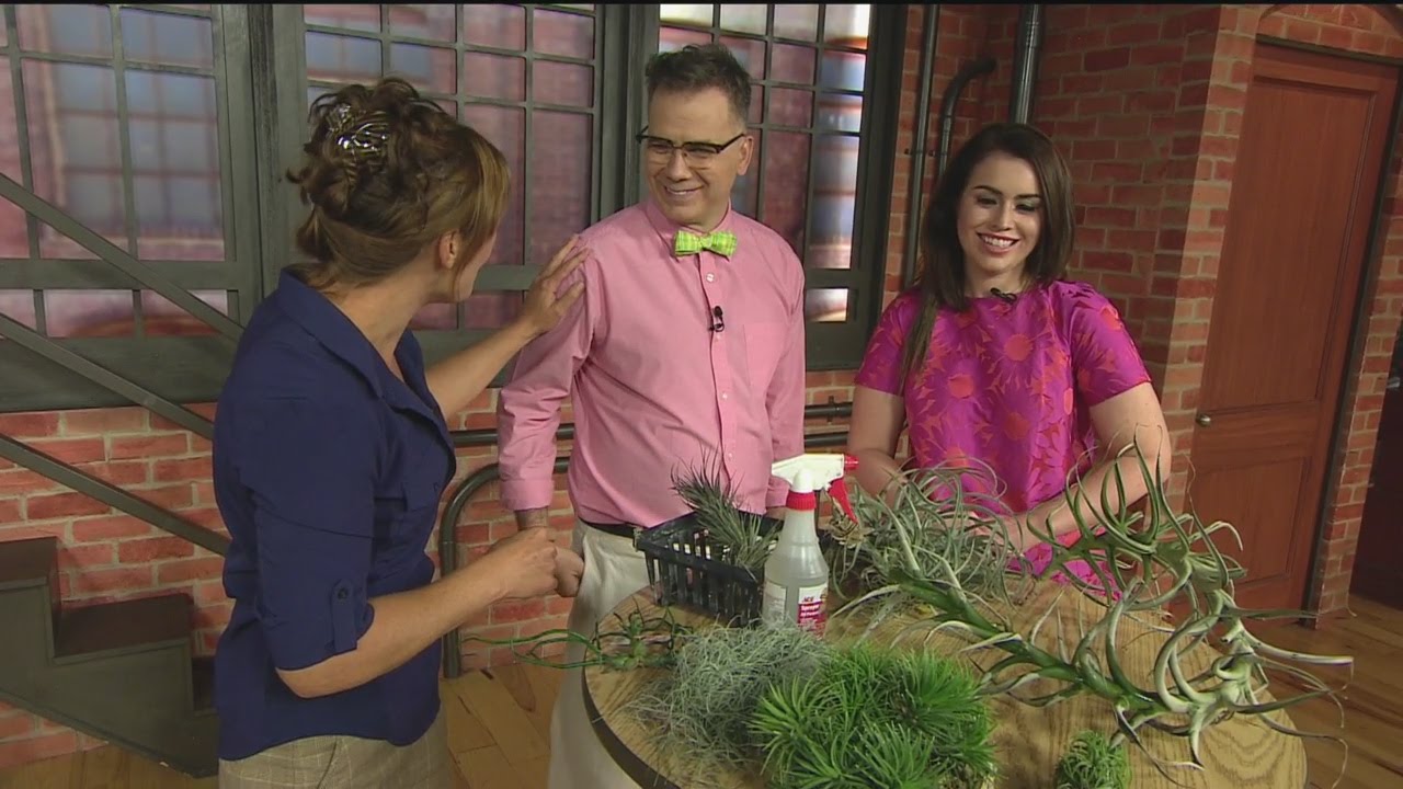 The Plant Lady Pt 5 YouTube