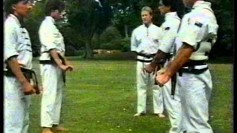 Ken Applegate doing kung fu on That's Fairly Inter...