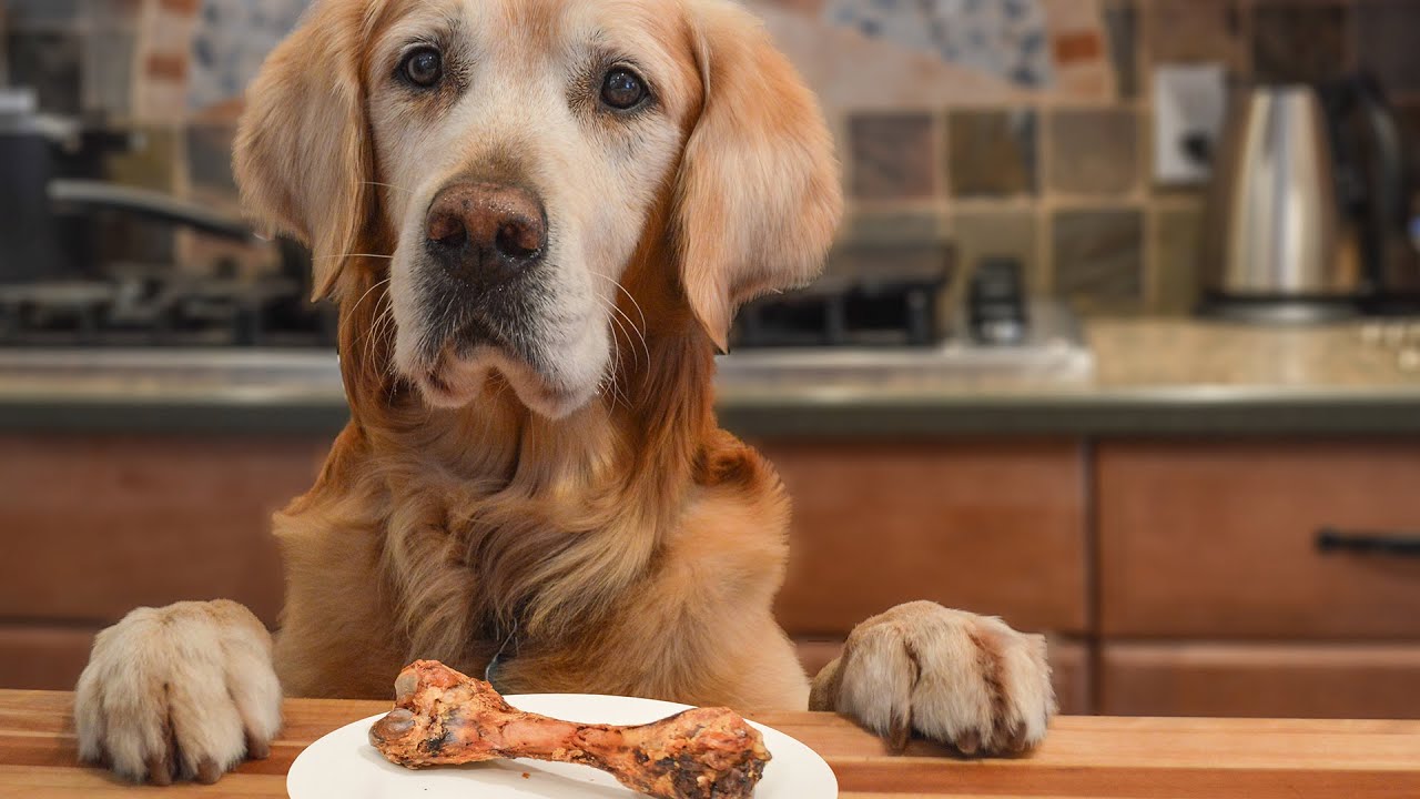 how do you get a dog to stop jumping on counters