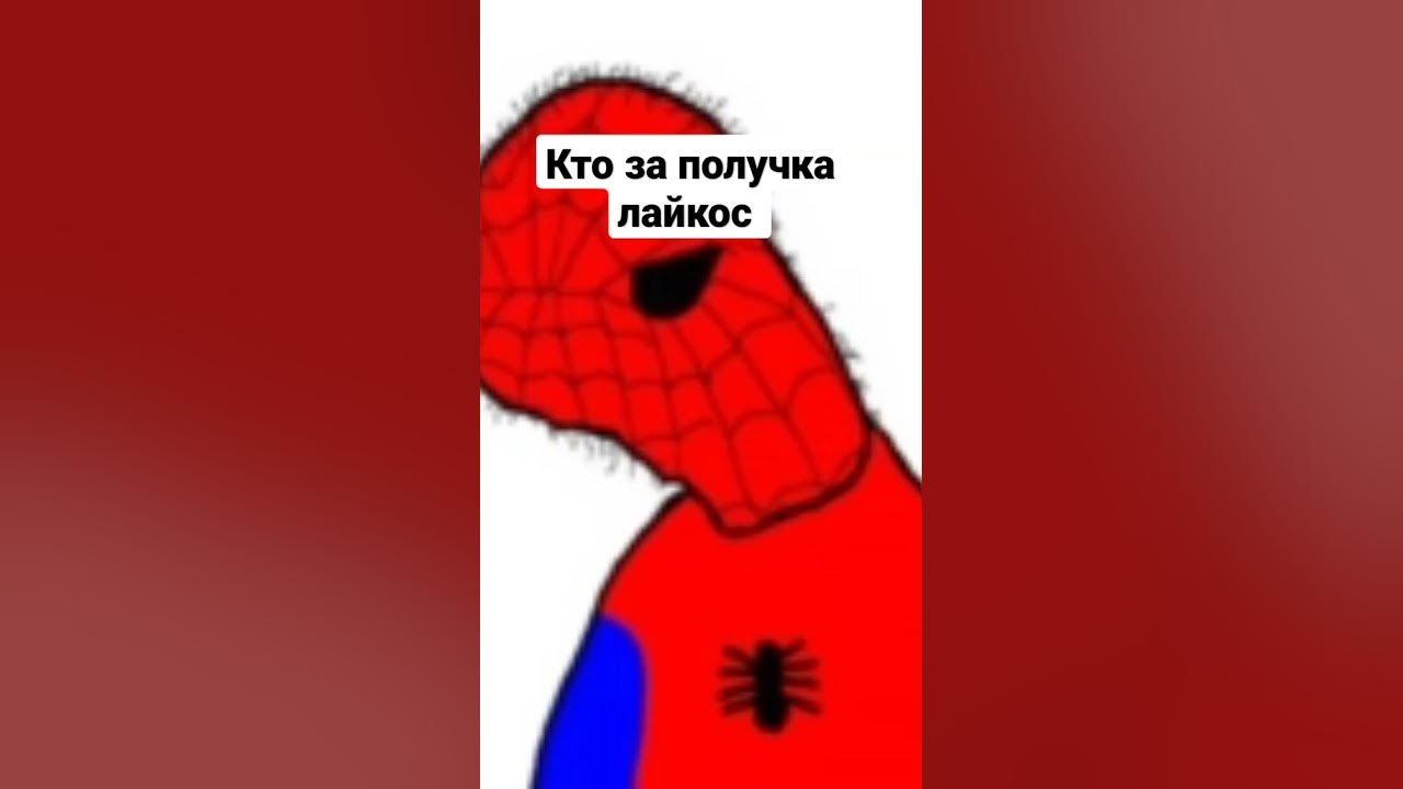 спайдер мен чиловек павук - YouTube