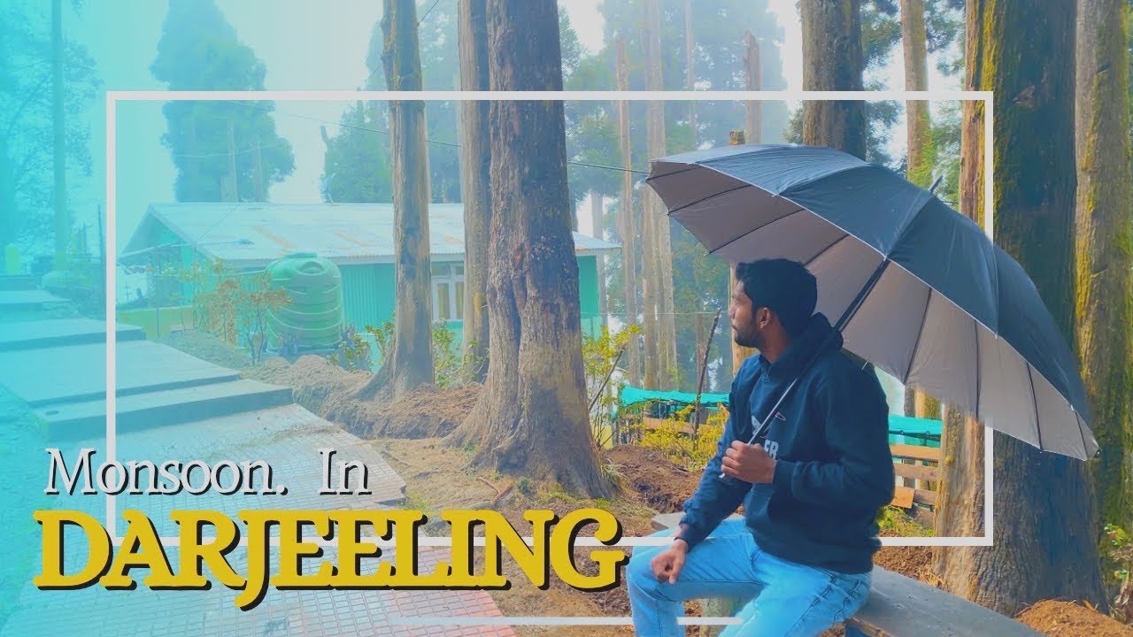 Darjeeling | Darjeeling story | 2023 | Monsoon in Darjeeling |