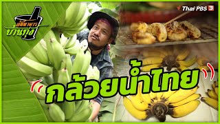กล้วยน้ำไทย | ภัตตาคารบ้านทุ่ง