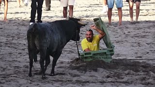 Tourada Areal Praia Da Vitória 2024 - Touros ER - (438,417,412,373) - Ilha Terceira - Açores