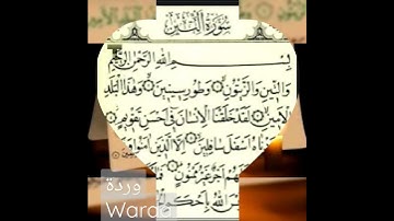 سورة التين فضيلة الشيخ ماهر المعيقلي