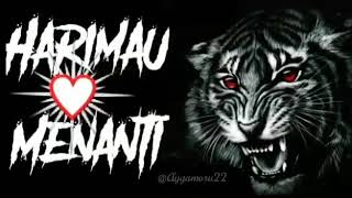 Story Wa #psht keren, Harimau menanti.