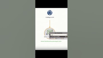 6. OSINT TOOLS : Data Visualization (Maltego) #cybersecurity #osint