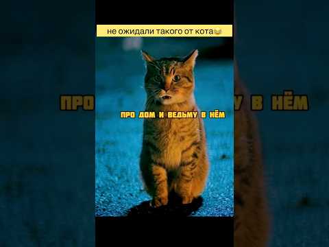 🎥 Детективы с того света сериал 2024 #фильмышортс #кино #фильмы #сериал #топфильмов #shorts